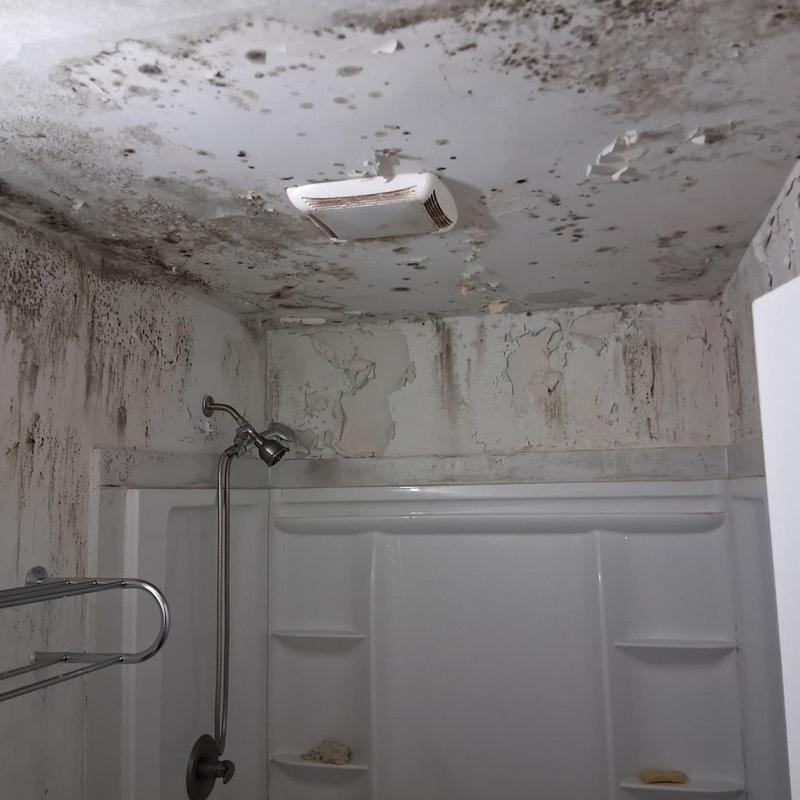 Bathroom ceiling mold damage with venting issues