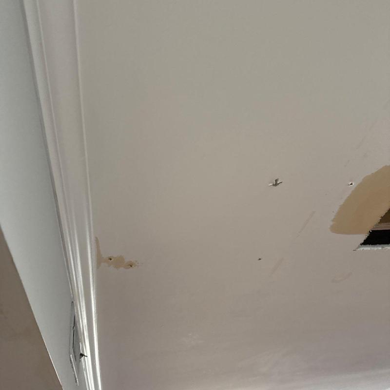 Ceiling drywall with water stains and damage marks