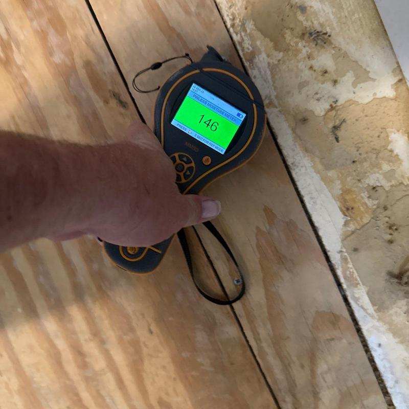 Plywood moisture meter reading on subfloor panel