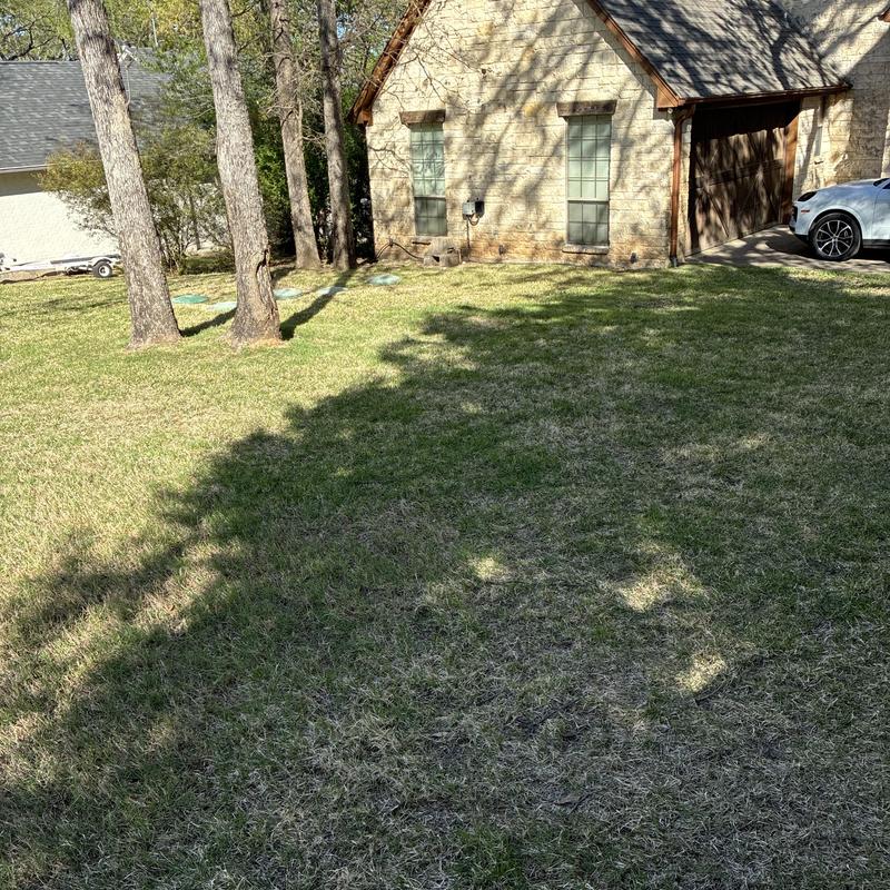 Sewer line cleanout access in residential yard