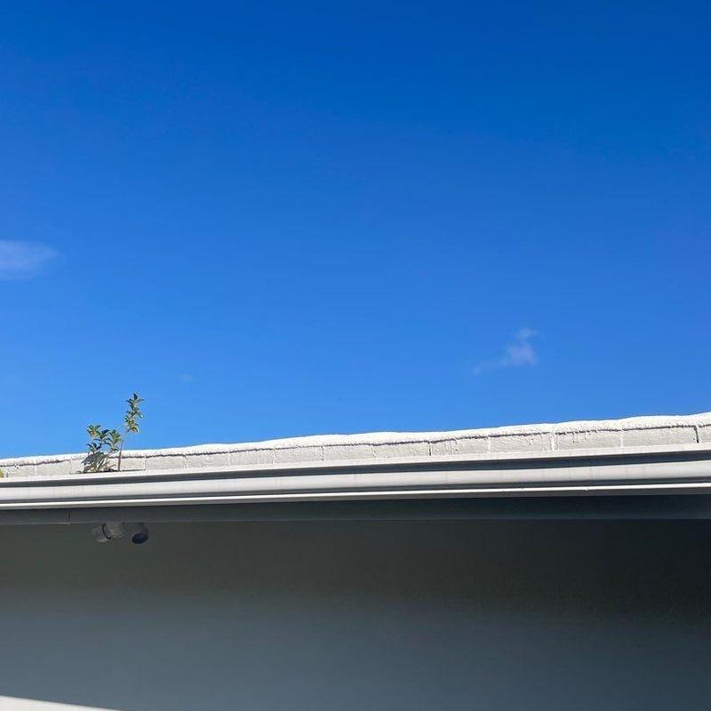 Tile roof with cracked surface and small plant growth