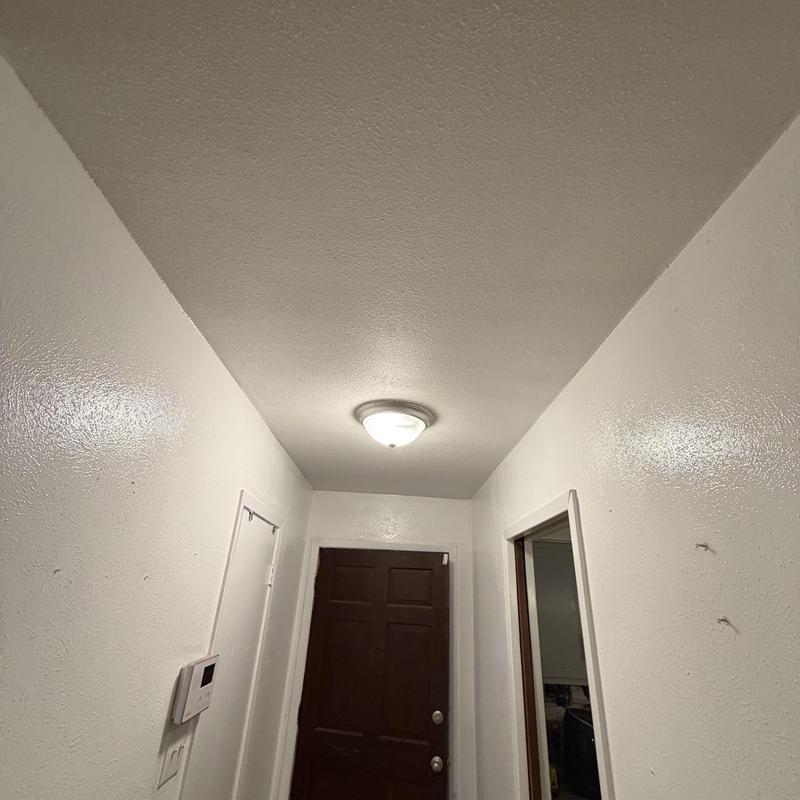 Sheetrock ceiling and wall texture and paint finish