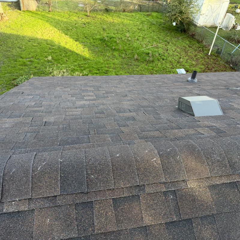Architectural shingle roof with vent and pipe in backyard
