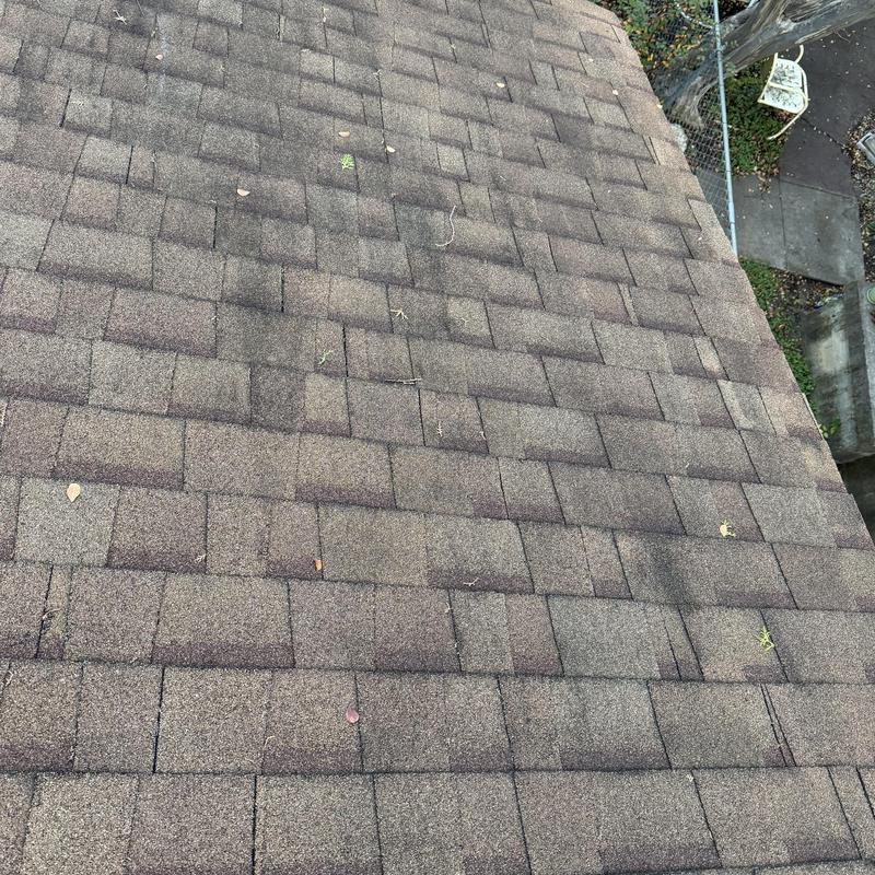 Asphalt shingle roof surface with minor debris and wear