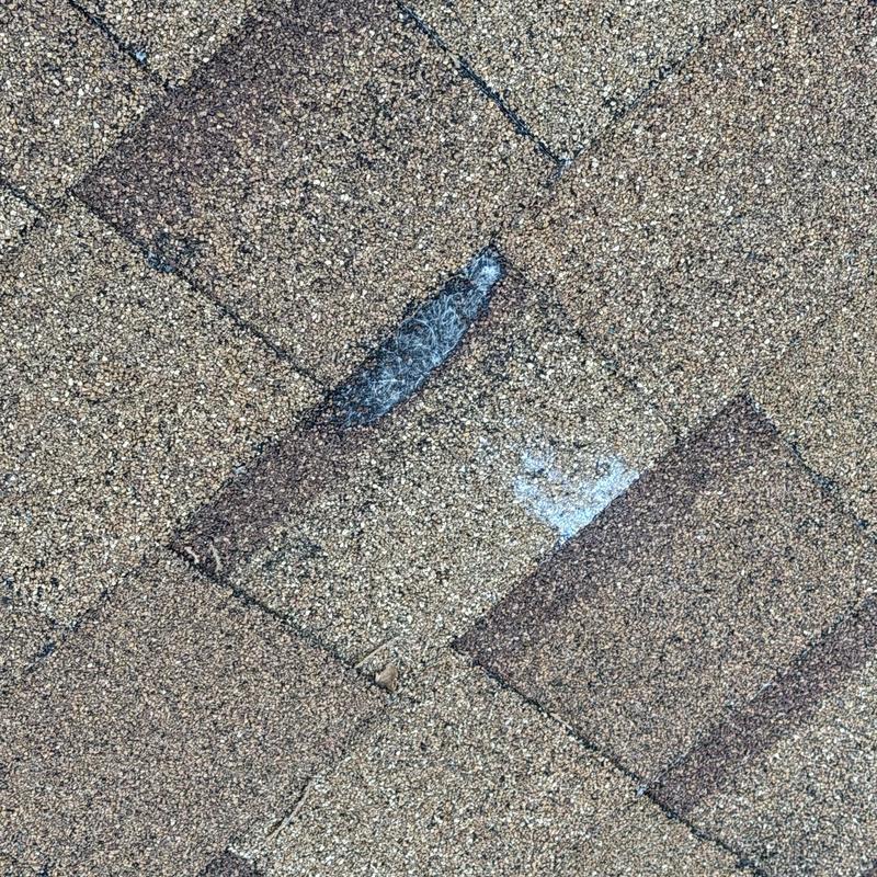 Asphalt shingle roof with visible damage and granule loss