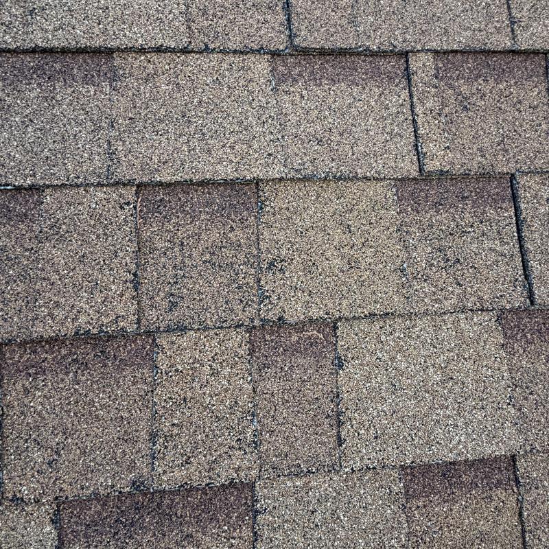 Asphalt shingle roof surface close-up showing granule texture