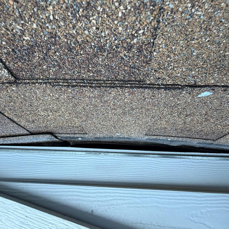 Asphalt roof shingles with lifted edge near siding trim