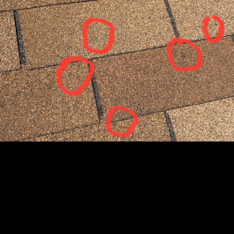 Roof shingles with suspected hail damage circled in red