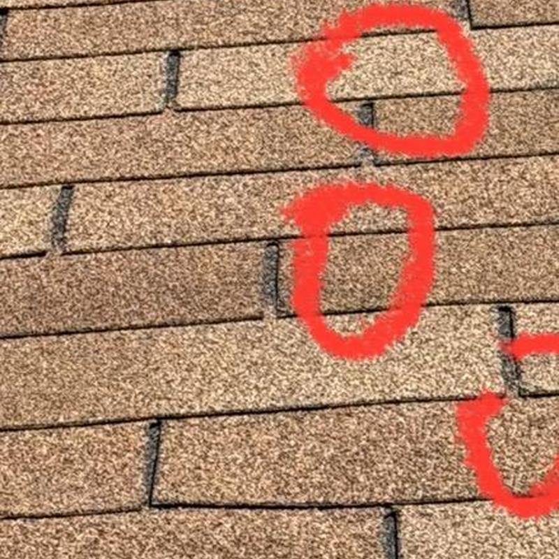 Asphalt roof shingles with damage marked in red circles