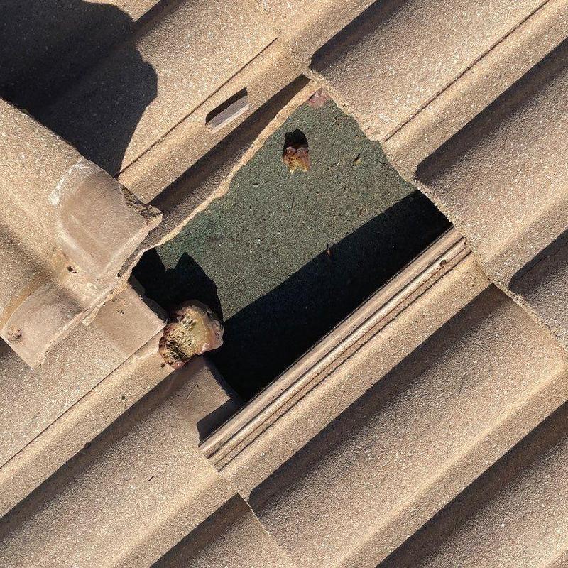 Concrete tile roof with missing tile and exposed underlayment