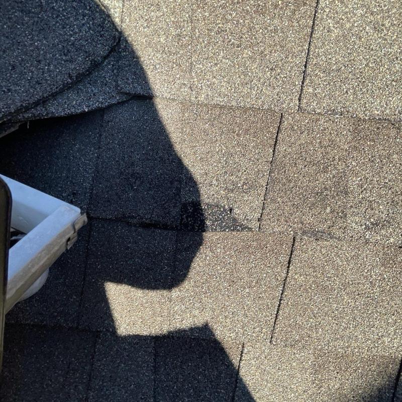 Asphalt shingles with lifted and misaligned areas