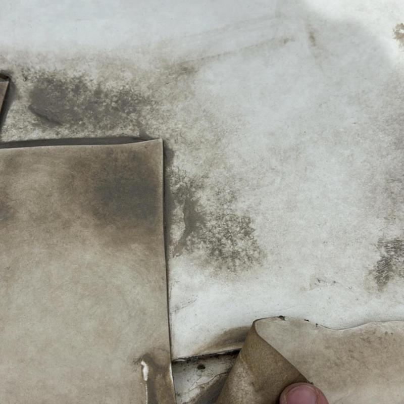 TPO metal roof with dirt and surface damage