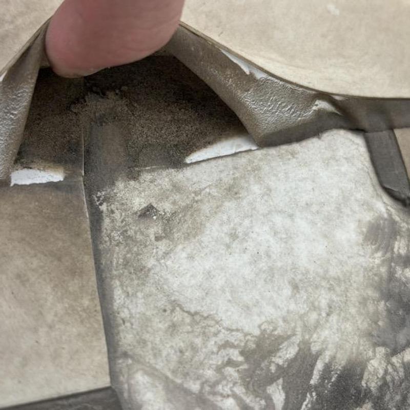 TPO metal roof membrane delamination inspection close-up