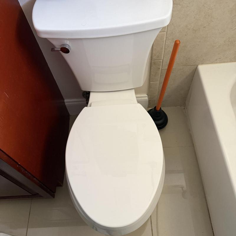 Toilet and bathtub drain blockage with plunger beside toilet