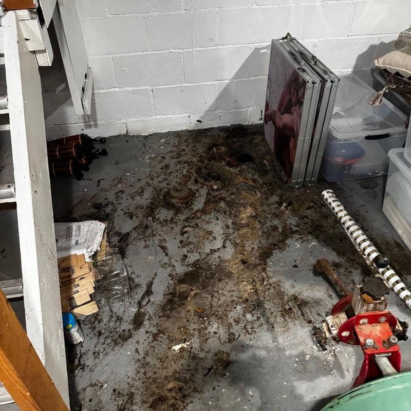 Basement floor drain with heavy debris and grime