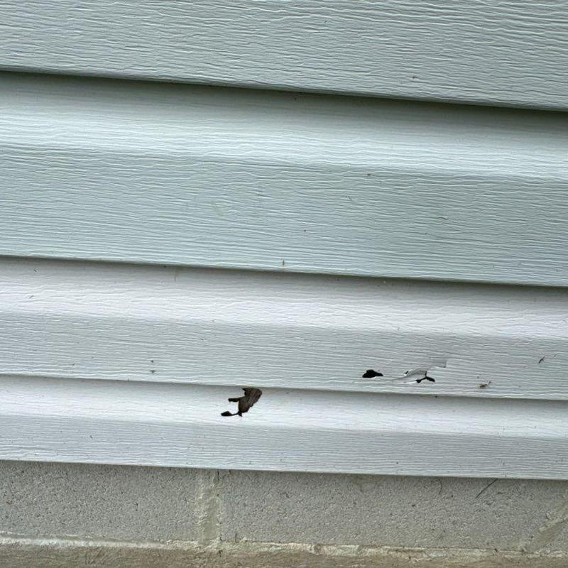 Vinyl siding with paint chipping and surface damage