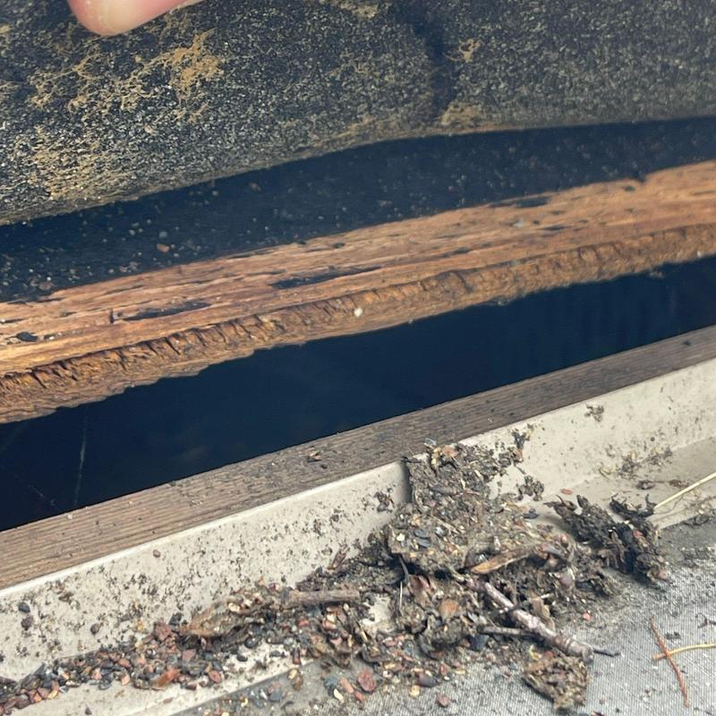 Roof decking rot beneath damaged shingles and debris buildup