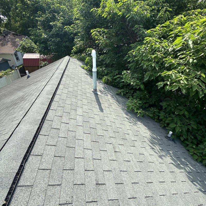 Asphalt shingle roof with vent pipes near trees