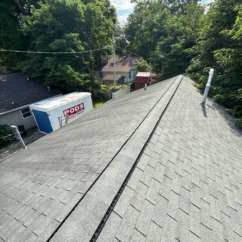 Shingle roof with ridge vent and vent pipes in trees
