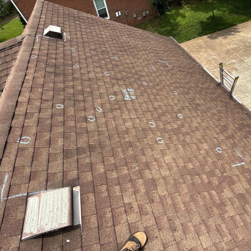 Asphalt roof shingles with chalked hail damage marks