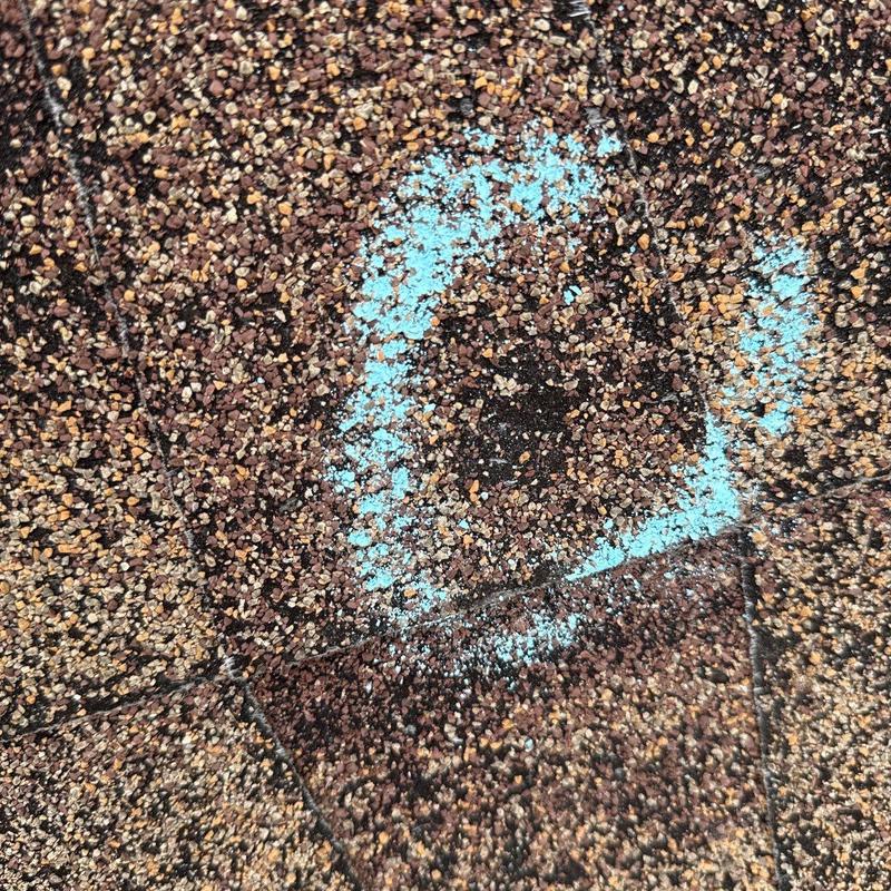 Roof shingles with hail damage and granule loss marked