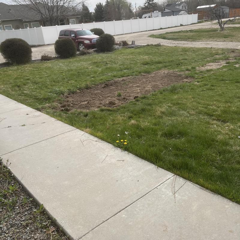 Irrigation lines and sprinkler heads with repaired sections