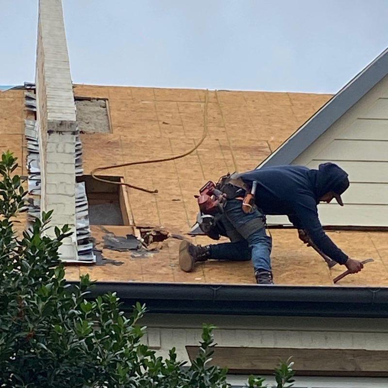 Roof underlayment removal exposing rotted wood areas Roof underlayment removal exposing rotted wood areas