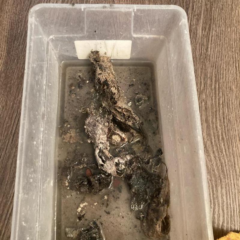 Toilet clog debris removed after unblocking flush Toilet clog debris removed after unblocking flush