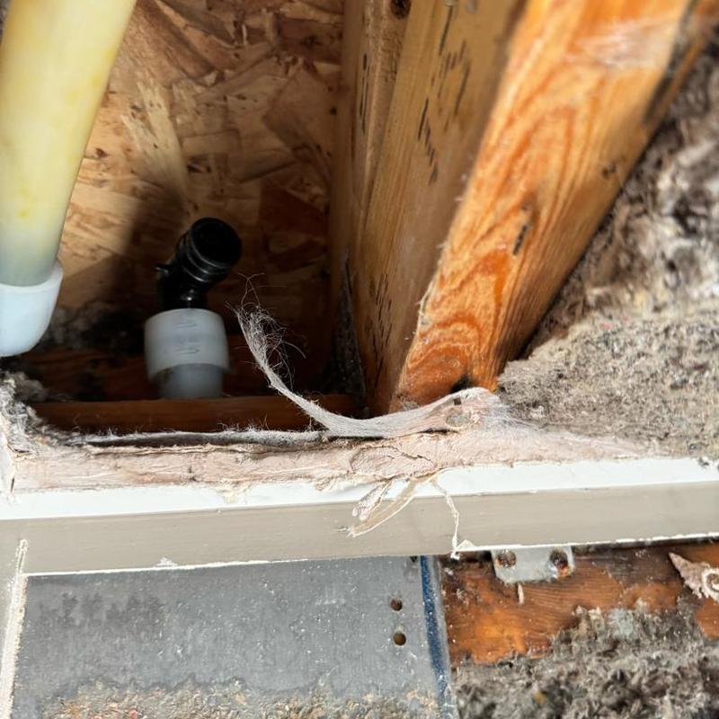 PEX water line with drywall cutout and stud framing