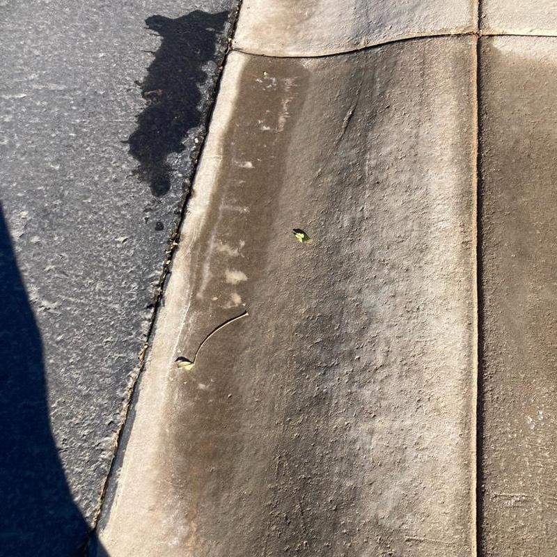 Sidewalk concrete with surface wear and small cracks