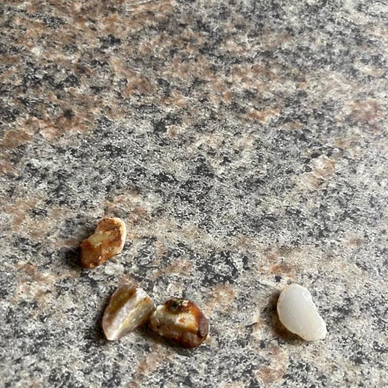 Garbage disposal debris removed during cleaning in San Tan Valley Garbage disposal debris removed during cleaning in San Tan Valley