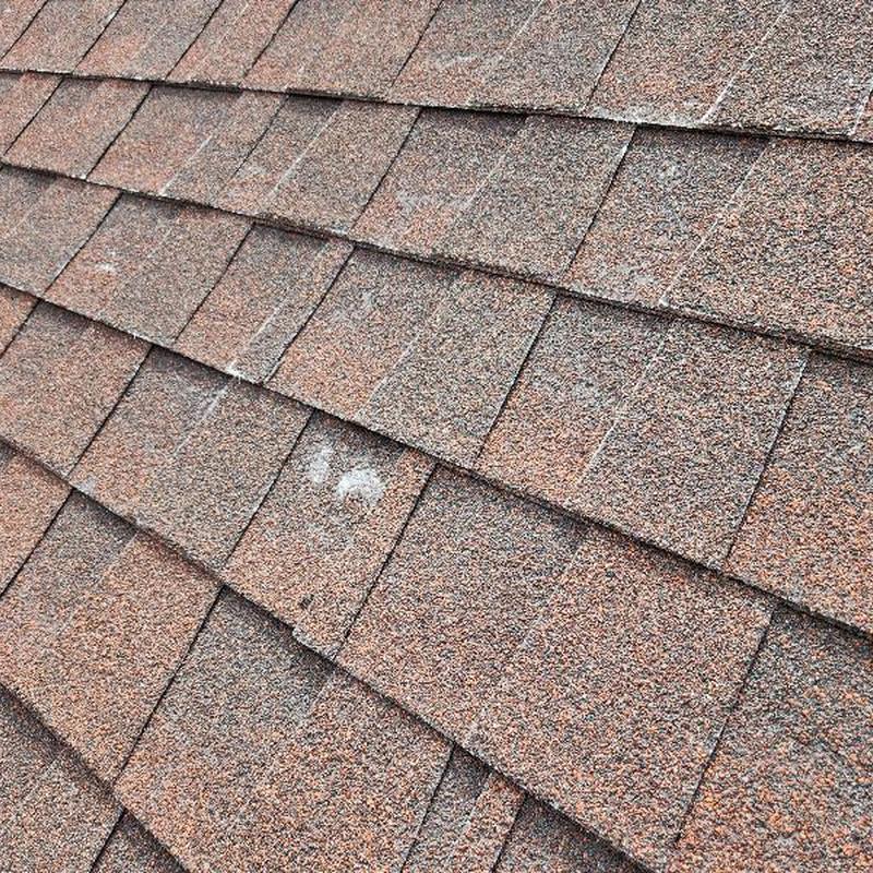 Asphalt roof shingles showing granular loss and blistering Asphalt roof shingles showing granular loss and blistering