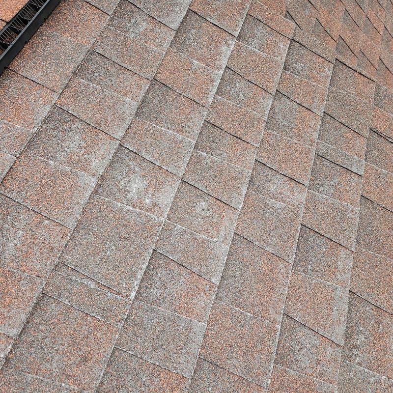 Roof shingles with granular loss and blistering damage Roof shingles with granular loss and blistering damage