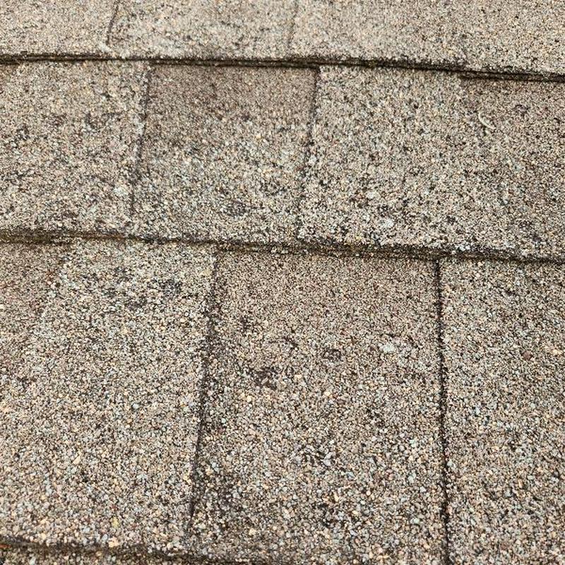 Asphalt roof shingles with granular loss and blistering Asphalt roof shingles with granular loss and blistering