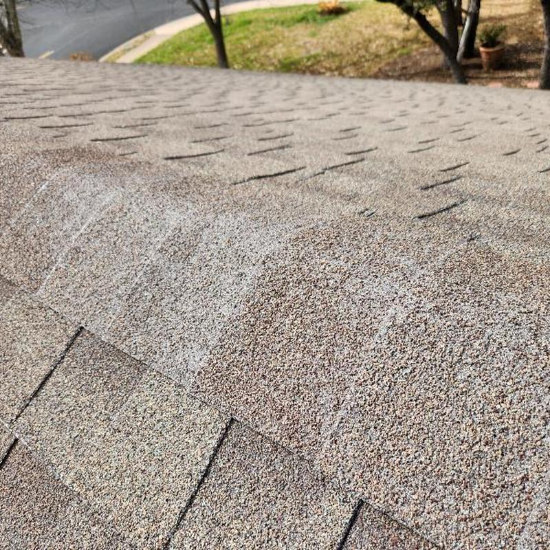 Asphalt shingle roof with granular loss and blistering Asphalt shingle roof with granular loss and blistering