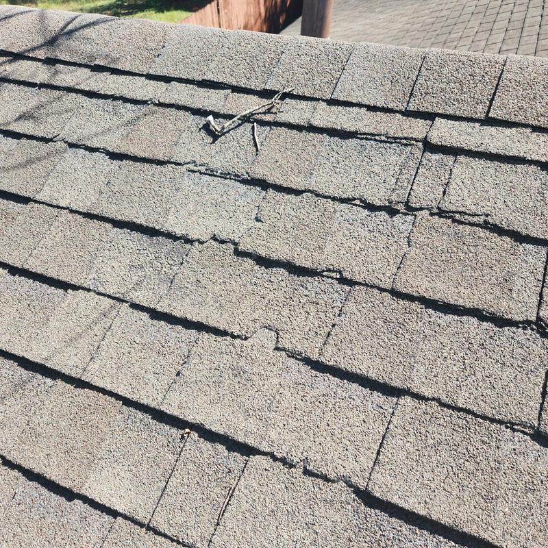 Asphalt shingles with granular loss and tree debris Asphalt shingles with granular loss and tree debris