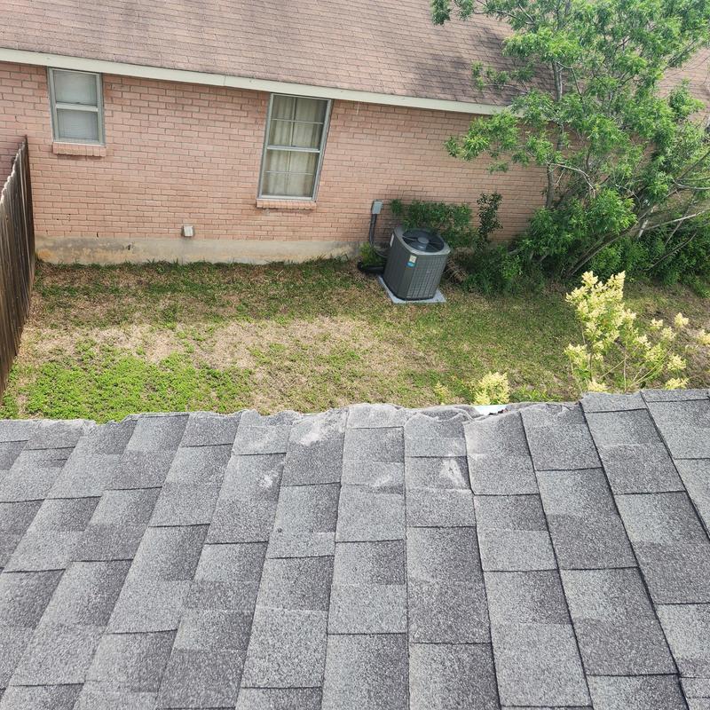 Asphalt shingle roof with discoloration and granule loss