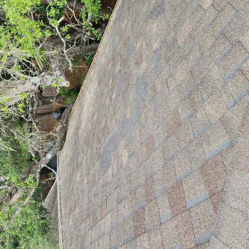30-year OC driftwood shingles with tree trimming needed