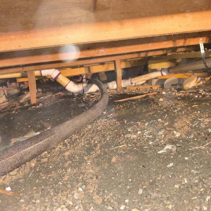 Crawlspace debris and plumbing pipes under house beams