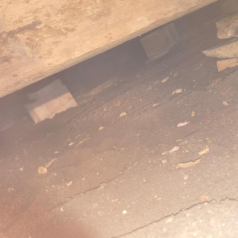 Pier and beam crawlspace with debris and soil cracks