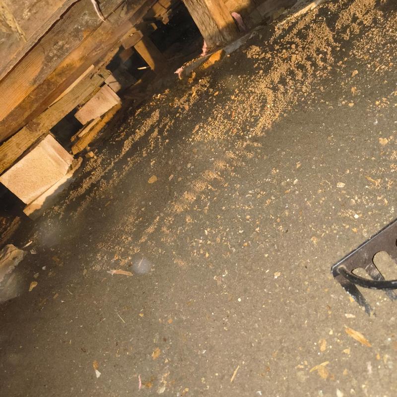 Pier and beam crawlspace with cleared debris and soil