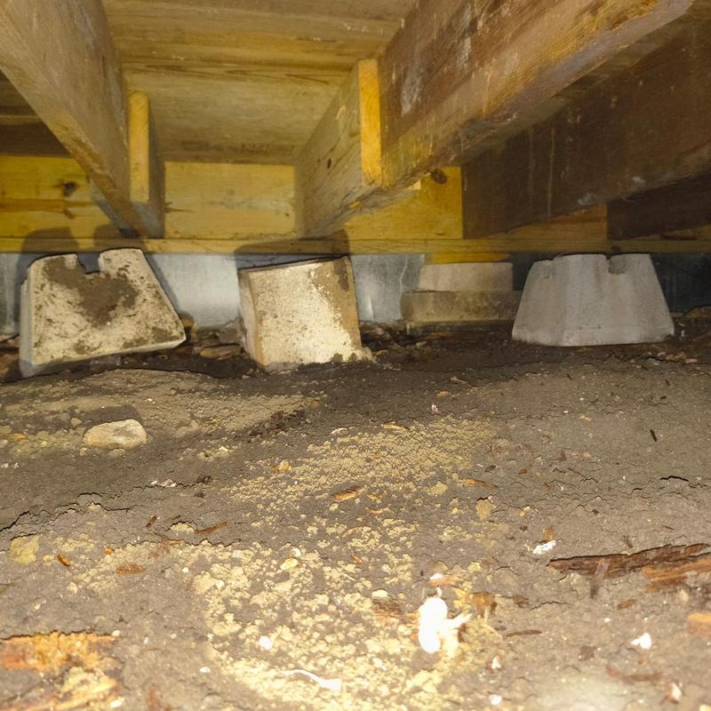 Pier and beam foundation crawlspace dirt and supports