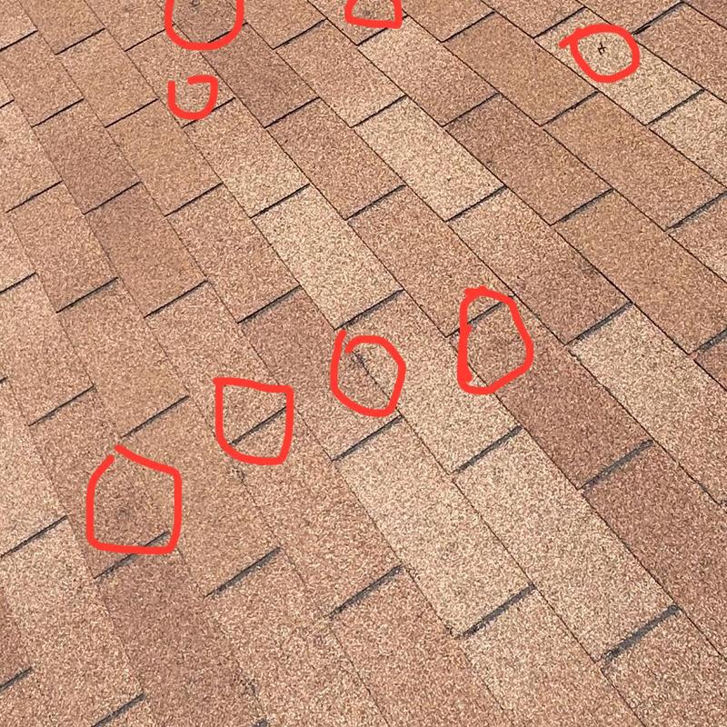 Asphalt roof shingles with marked damage spots