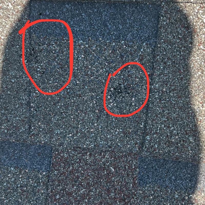 Asphalt roof shingles with hail damage circled in red
