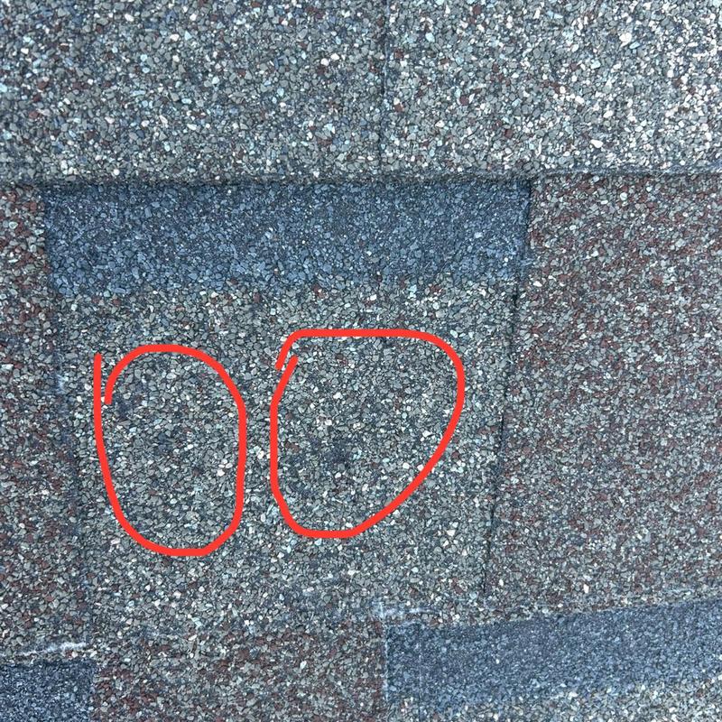 Roof shingles with hail damage circled in red