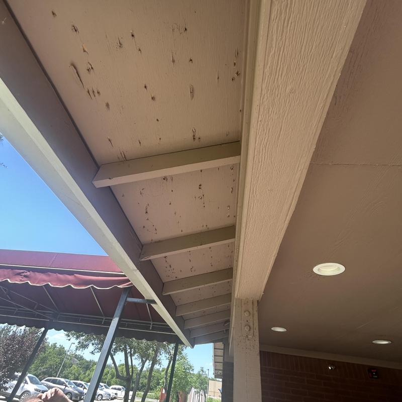 20 inch soffit with wood damage at retirement center