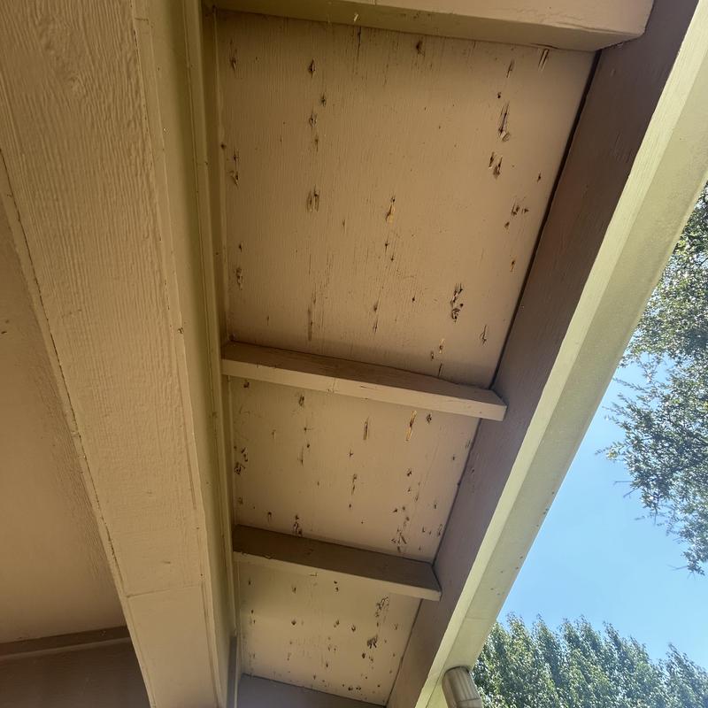 Wooden soffit with visible damage on retirement center