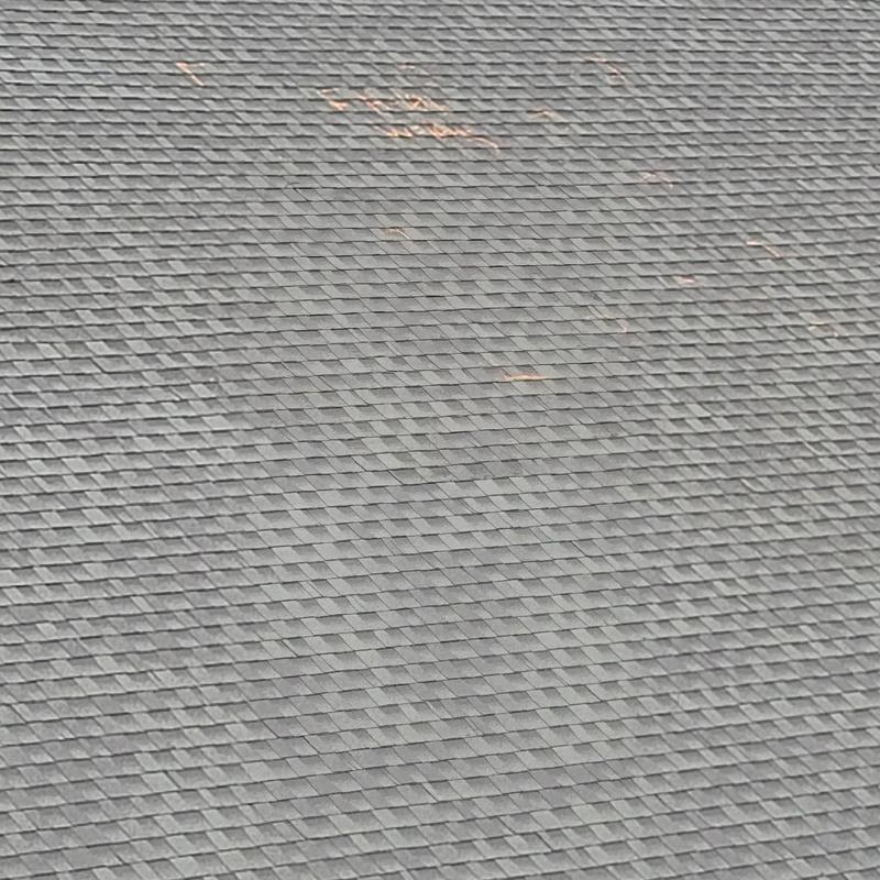 Asphalt shingle roof with hail damage and discoloration
