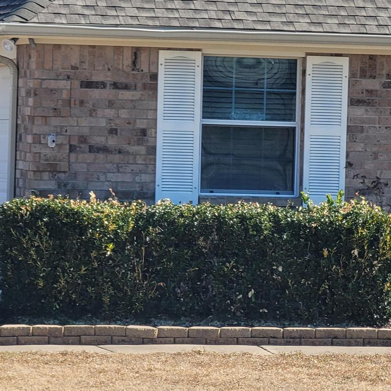 Brick siding hail damage with window and shutters