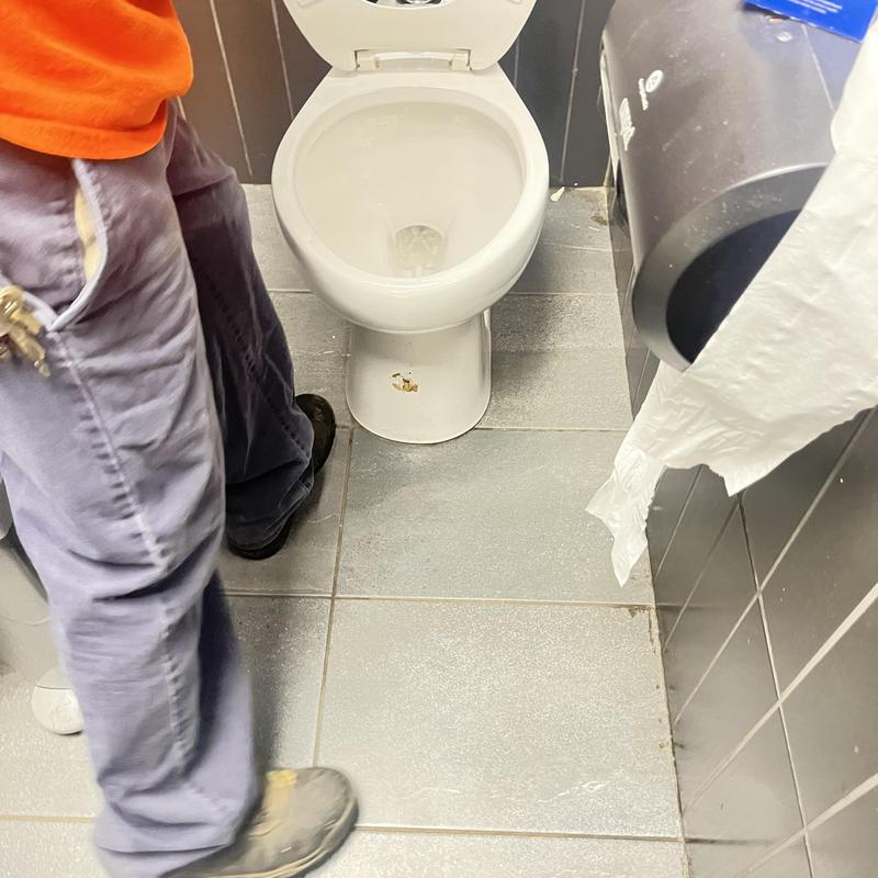 Toilet bowl and drain jetting service